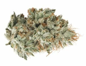 Gorilla Glue #4