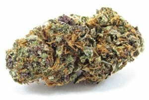 Purple Nug