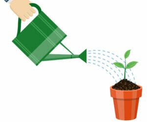Watering Plants