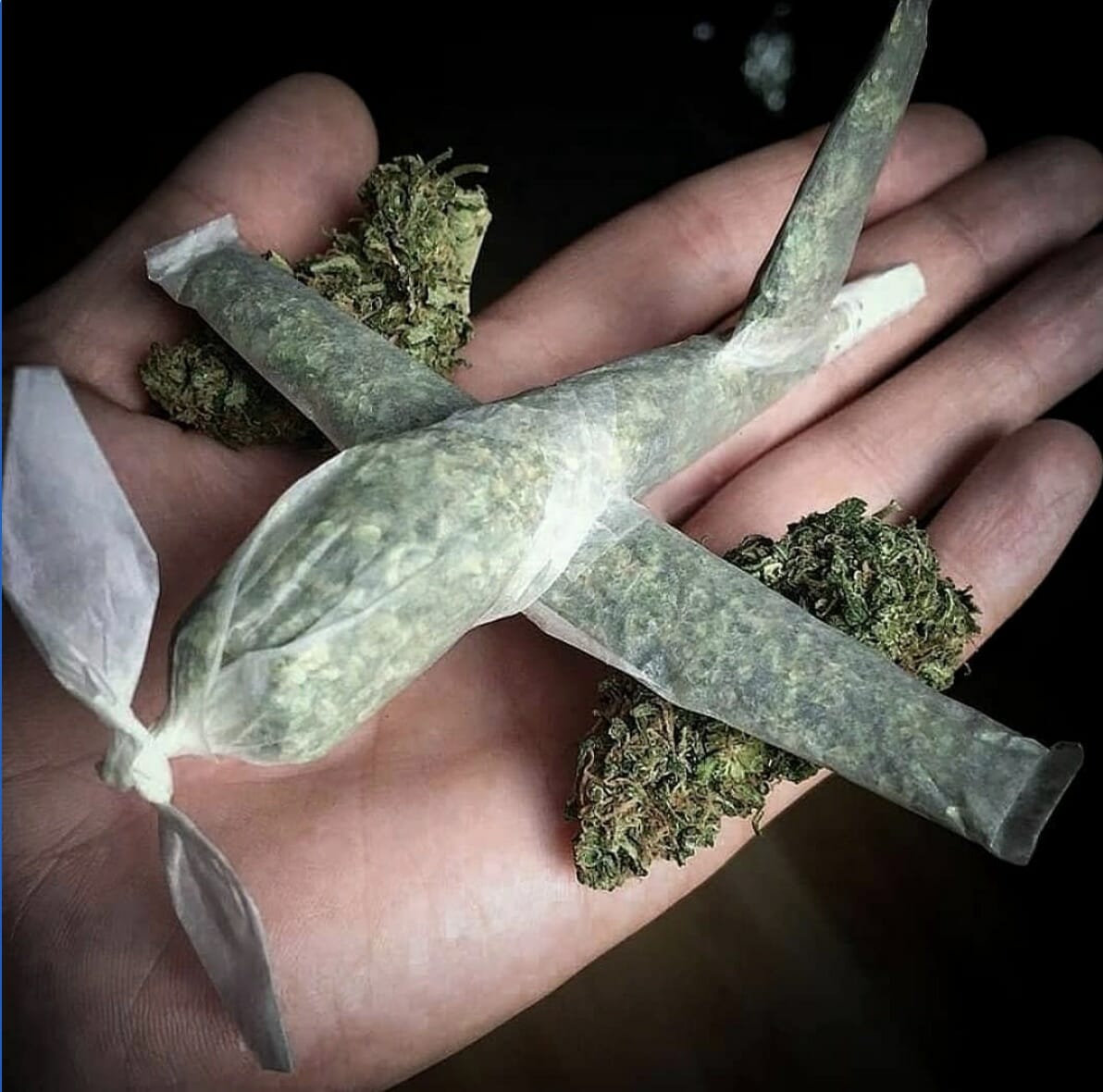 Airplane Joint