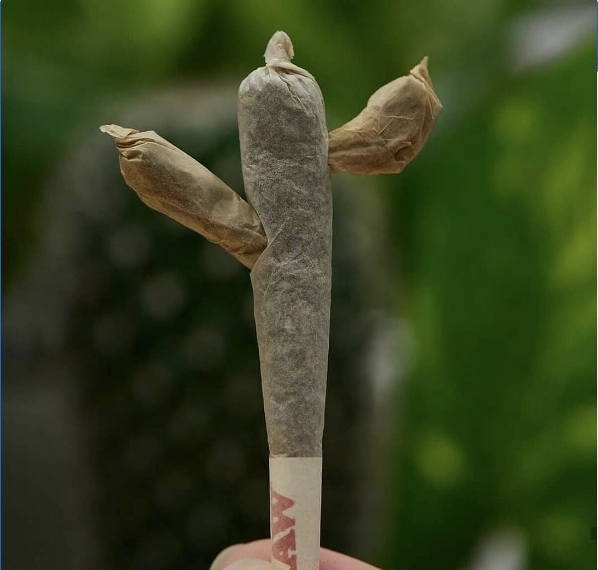 Cactus Joint