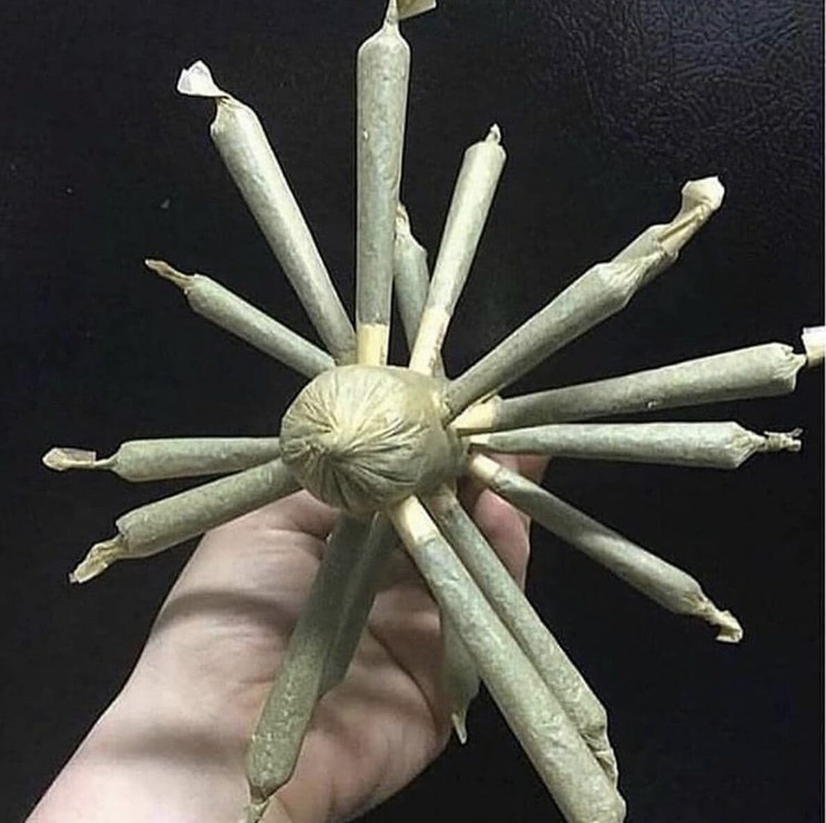 Multi-Joint