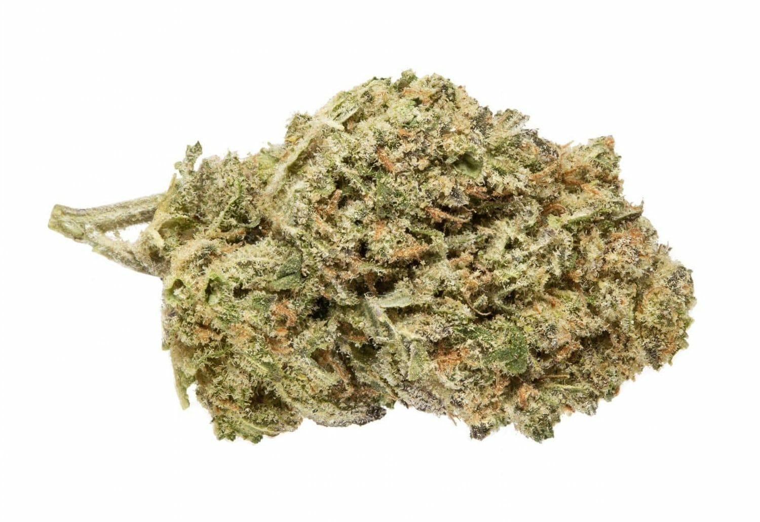 Cannabis Harlequin Nug