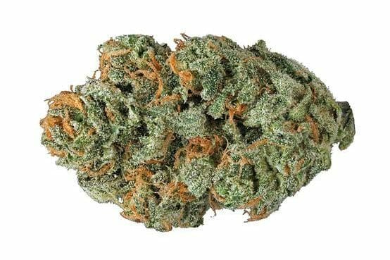Cannabis Pennywise Bud