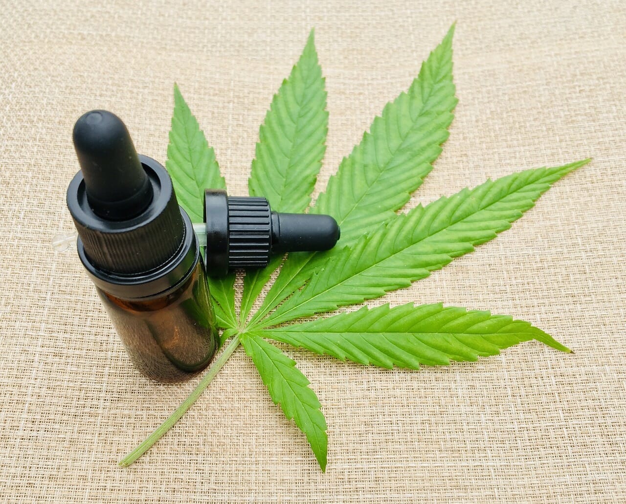 Cannabis Oil Free Image