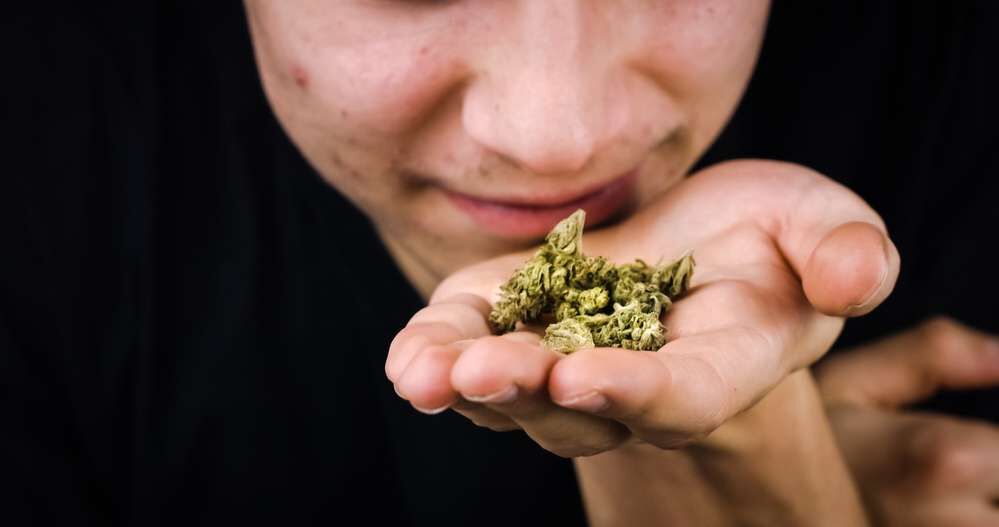 weed smell like hay
