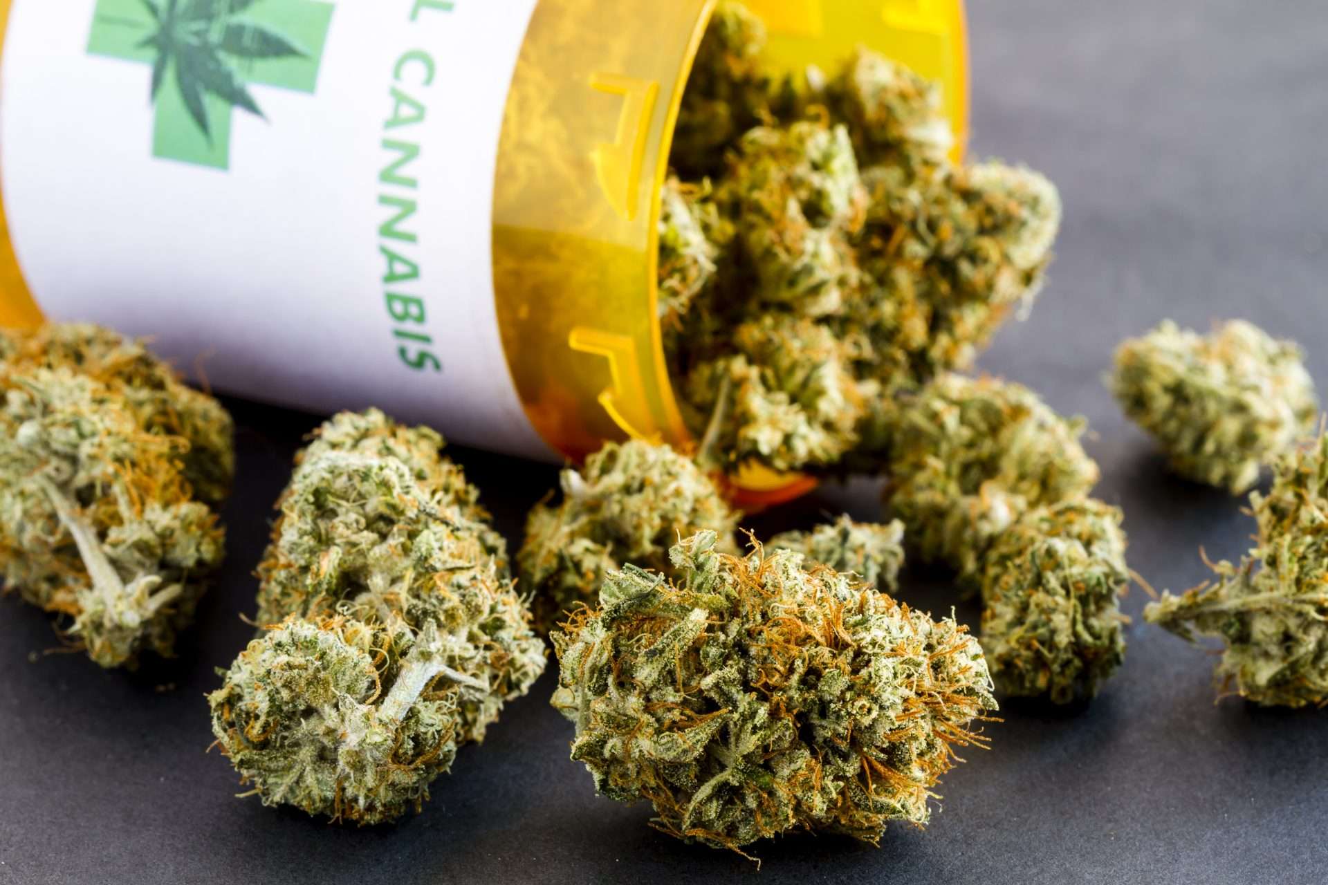 Medical Marijuana Buds