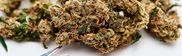 natural marijuana buds