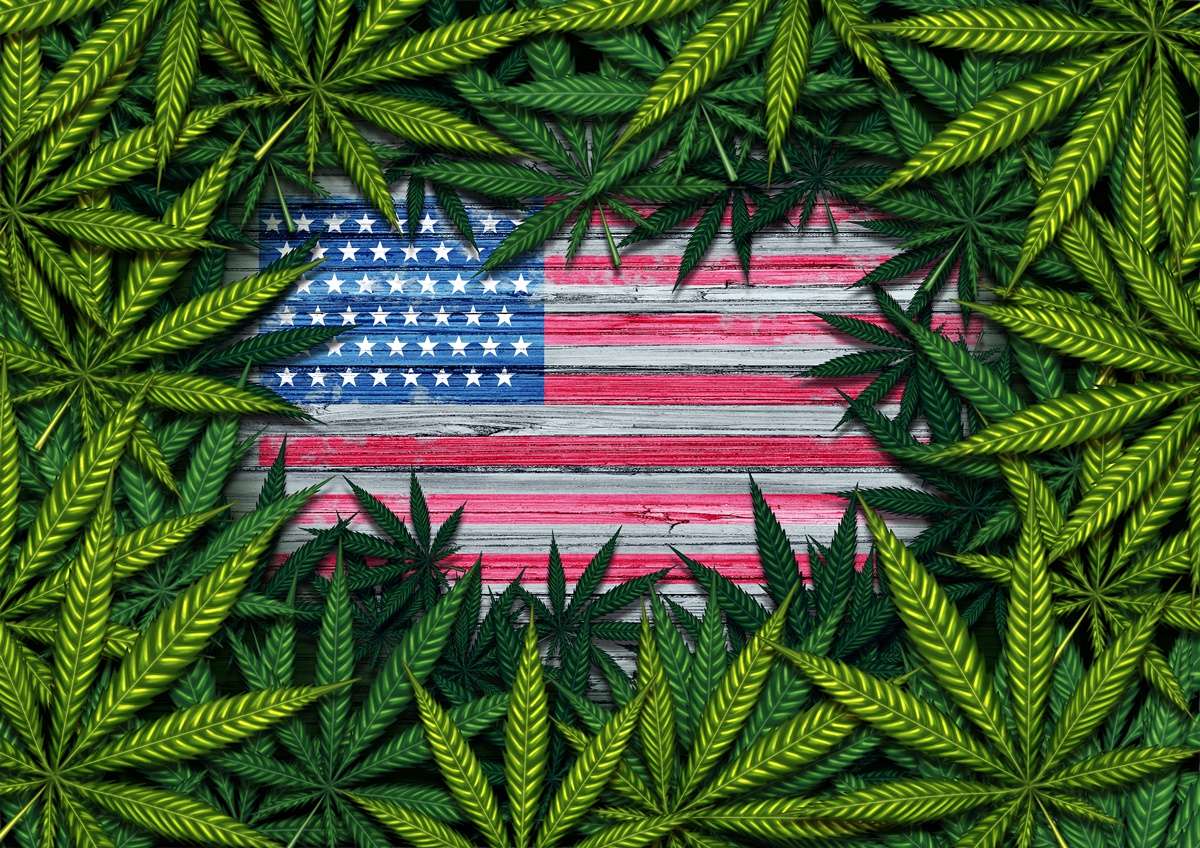 weed in the United States of America